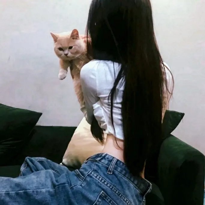 驭风男孩